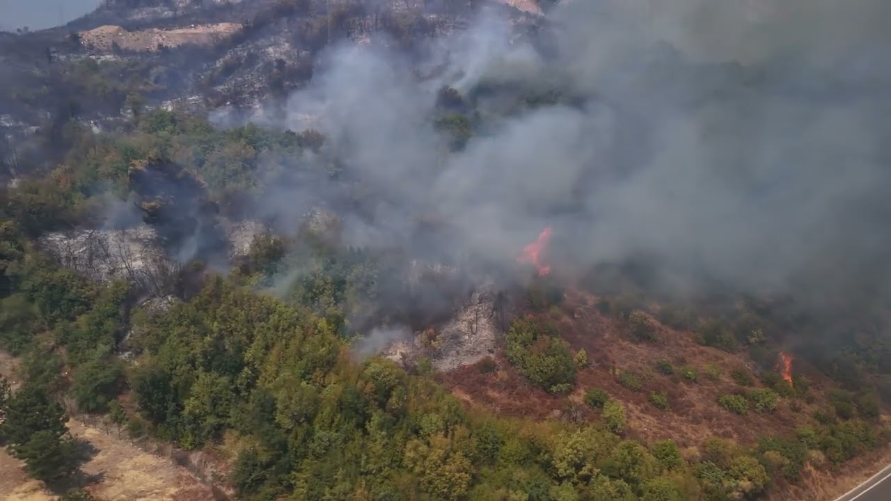 Požar u Buljarici KADROVI iz vazduha