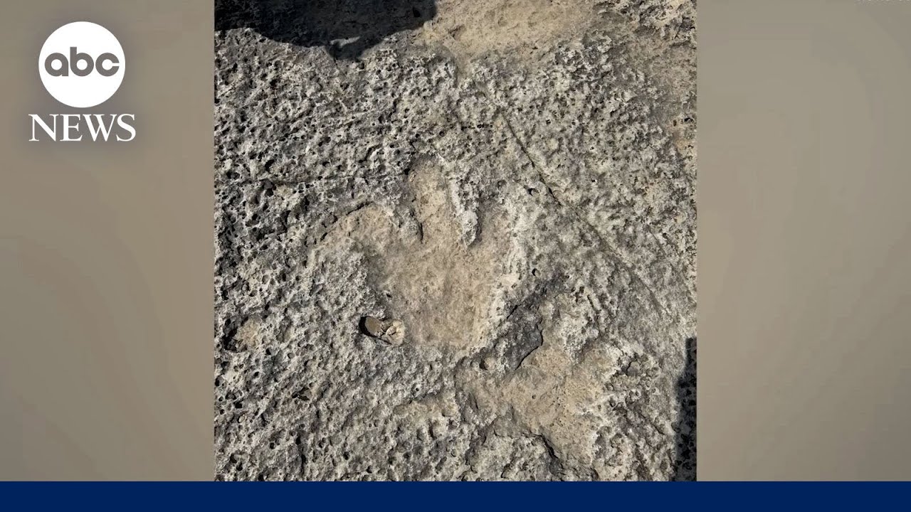 Dinosaur footprints from 115 million years ago found after Texas flood