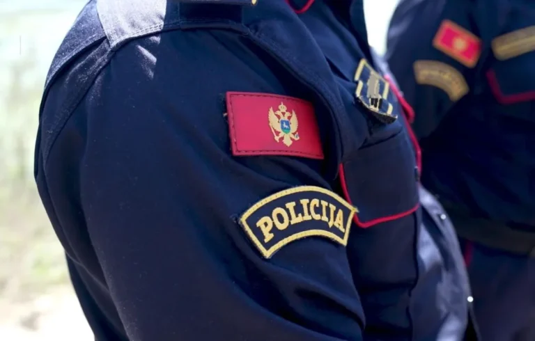 Rasvijetljena tri napada na sjeveru Crne Gore, protiv četiri osobe podnijete krivične prijave