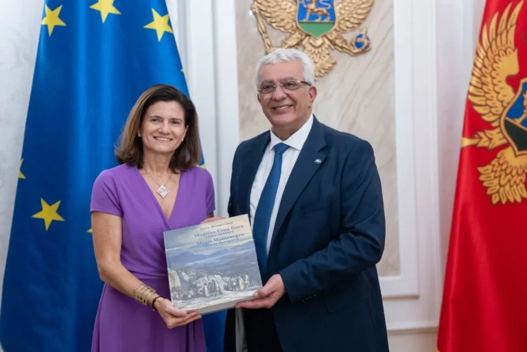 Mandić sa novoimenovanom ambasadorkom Italije: Skupština posvećena ispunjavanju reformskih obaveza