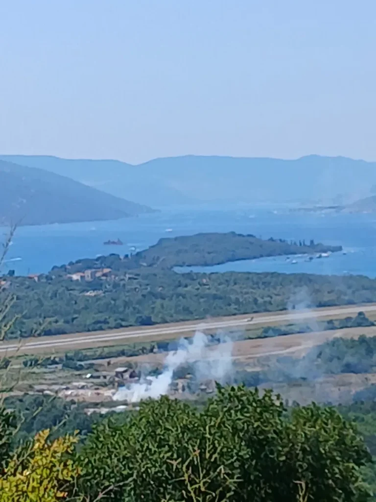 Požar na Lovanji brzo lokalizovan, izgorio kamper