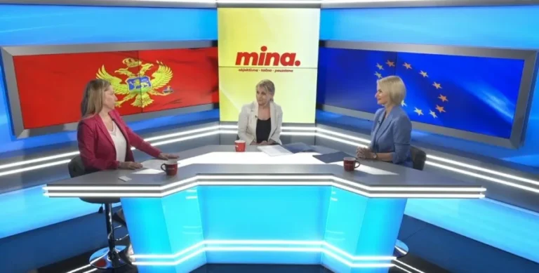 „Članstvo u Carinskoj uniji olakšava pristup evropskom tržištu“