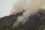 Foto: Screenshot Youtube/RTV Cetinje