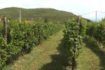 Foto: Gradski.me