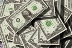 dolar Pixabay