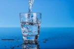 Foto: Shutterstock